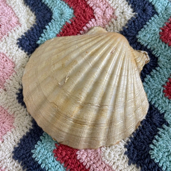 Shell trinkets - Picture 6 of 16